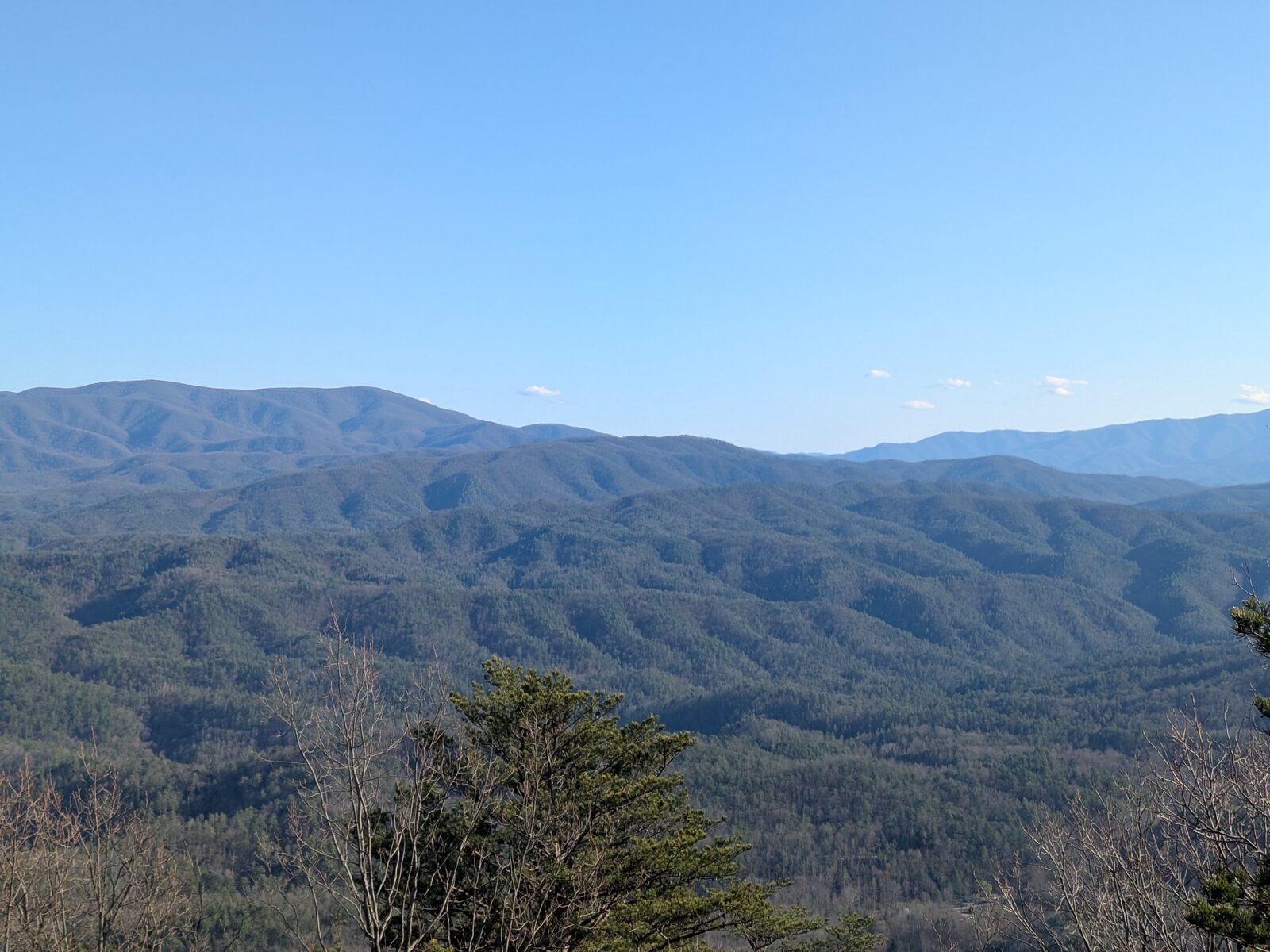 Blue mountain ridges from Look Rock.